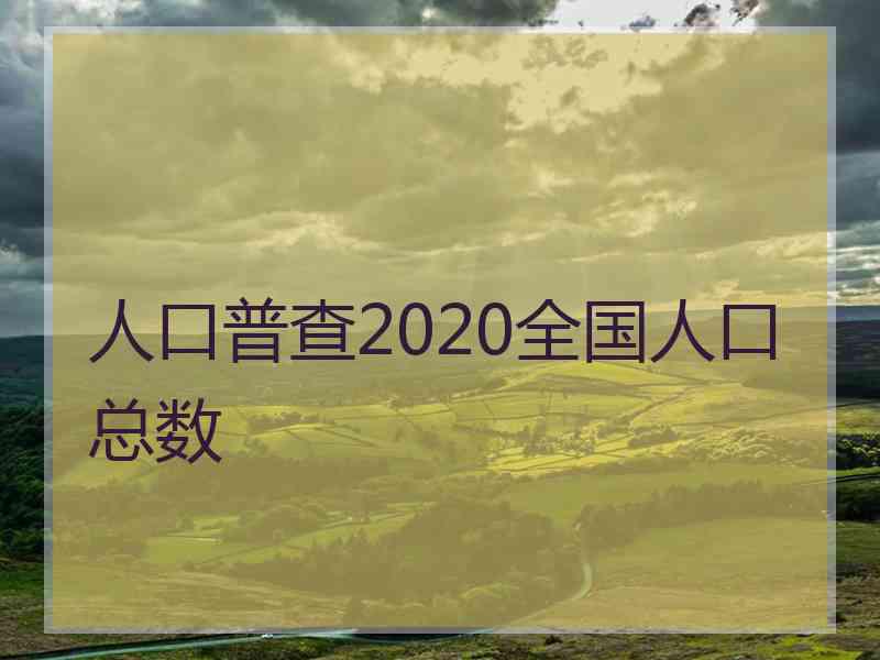 人口普查2020全国人口总数