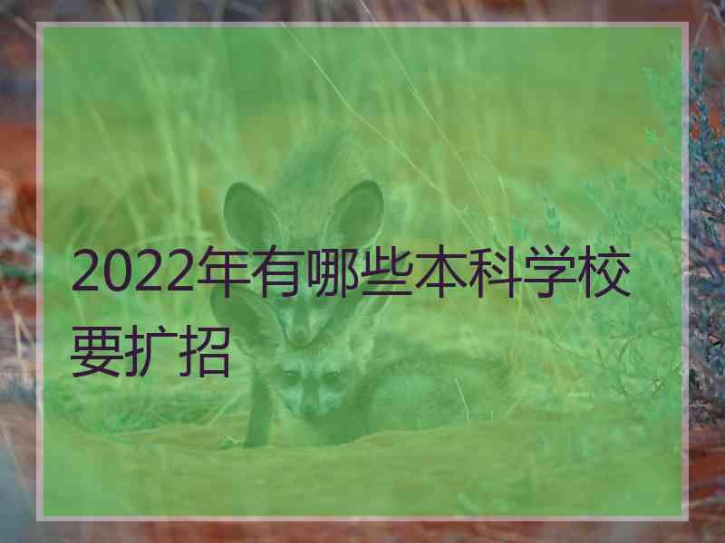 2022年有哪些本科学校要扩招