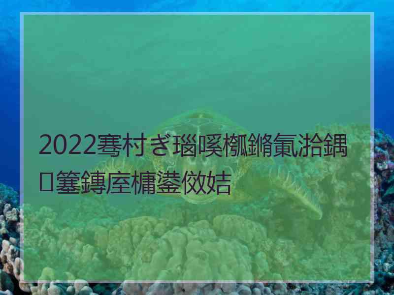 2022骞村ぎ瑙嗘槬鏅氭湁鍝簺鏄庢槦鍙傚姞