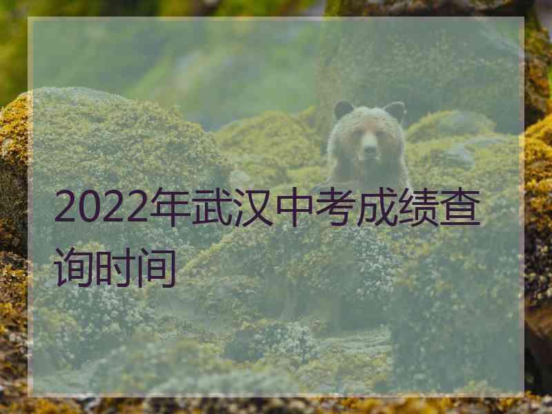 2022年武汉中考成绩查询时间