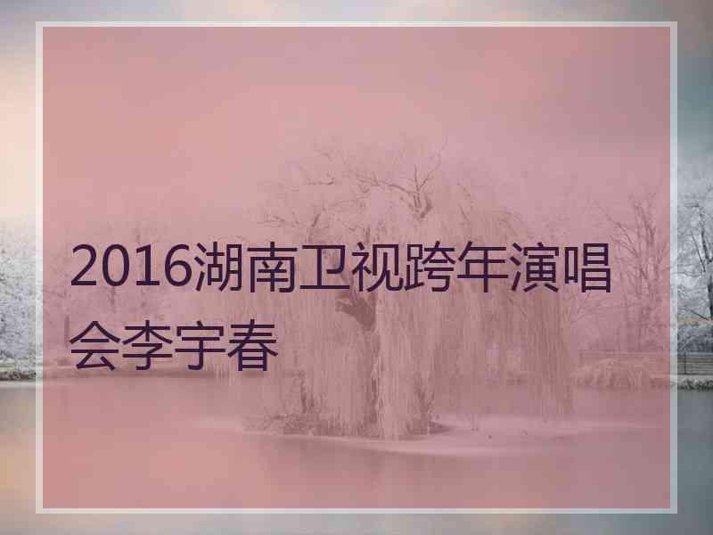 2016湖南卫视跨年演唱会李宇春