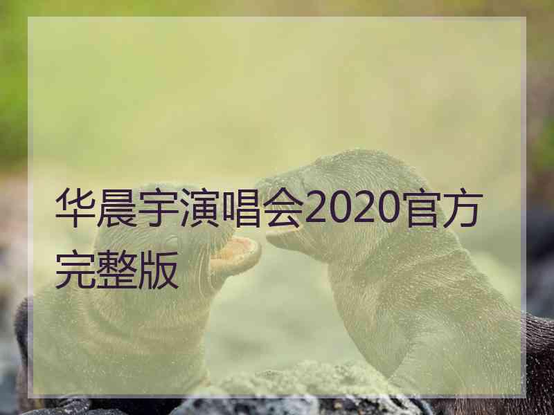 华晨宇演唱会2020官方完整版