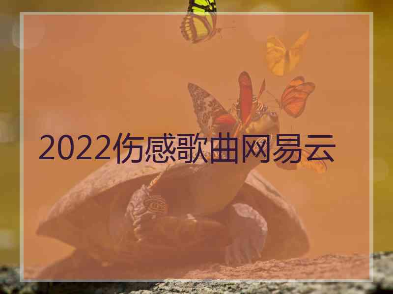 2022伤感歌曲网易云