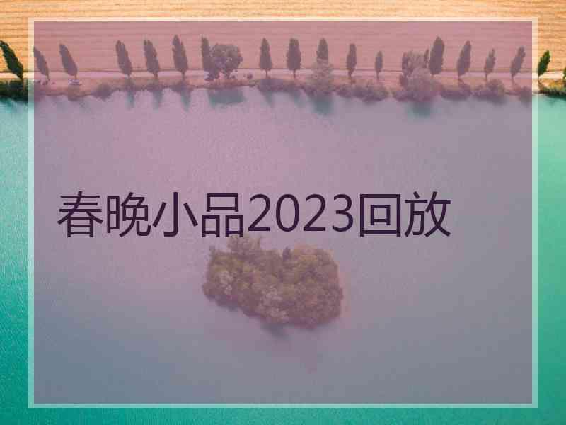 春晚小品2023回放