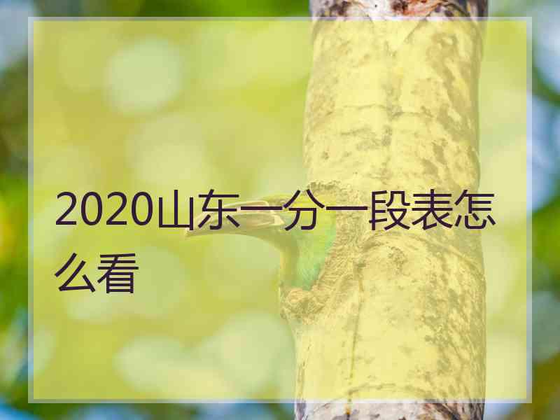 2020山东一分一段表怎么看