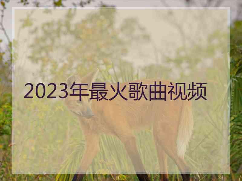 2023年最火歌曲视频