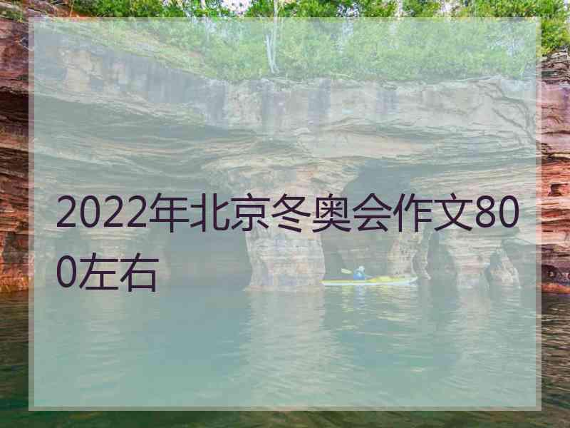 2022年北京冬奥会作文800左右