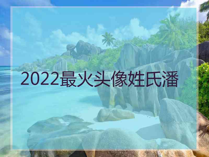 2022最火头像姓氏潘