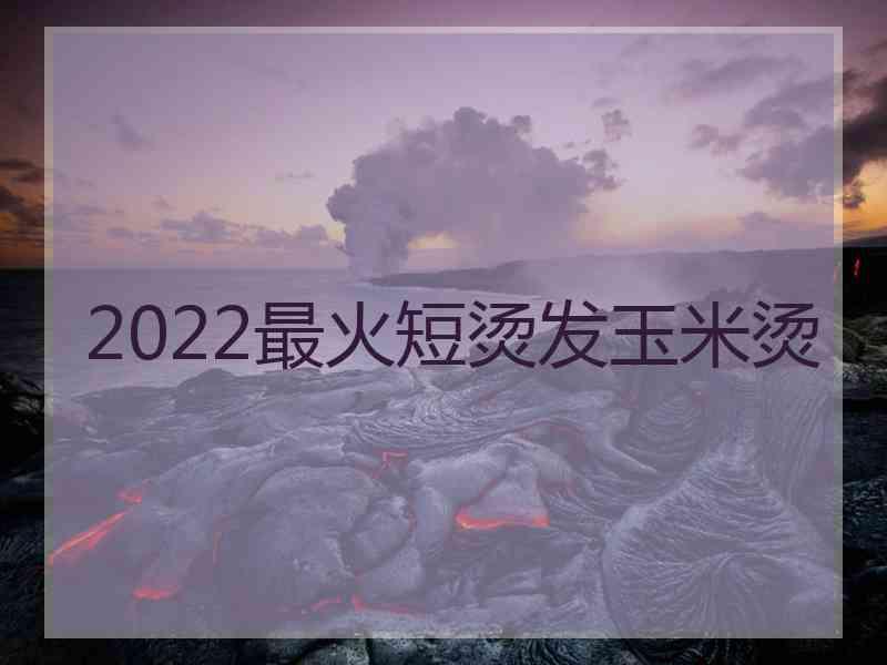 2022最火短烫发玉米烫