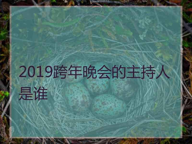 2019跨年晚会的主持人是谁