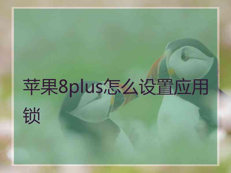 苹果8plus怎么设置应用锁