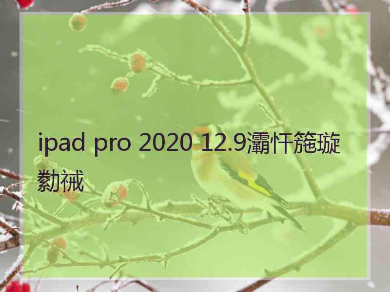 ipad pro 2020 12.9灞忓箷璇勬祴