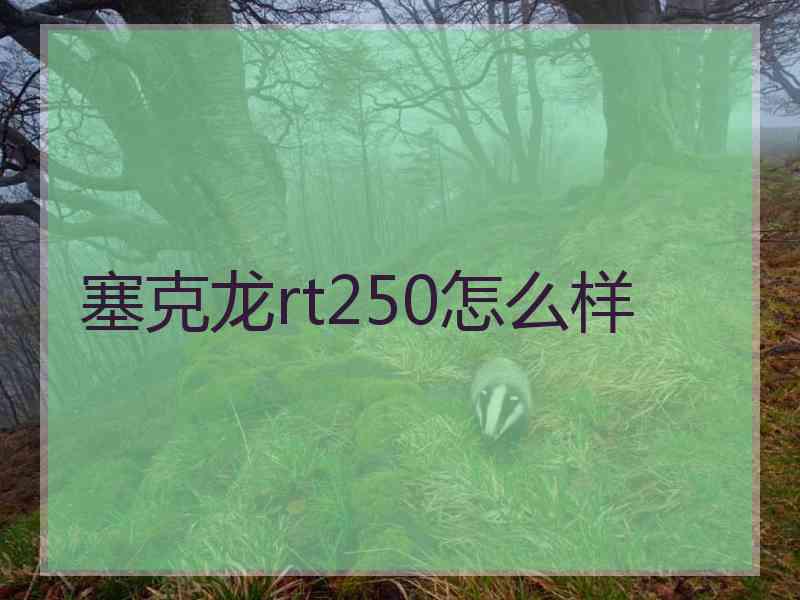 塞克龙rt250怎么样