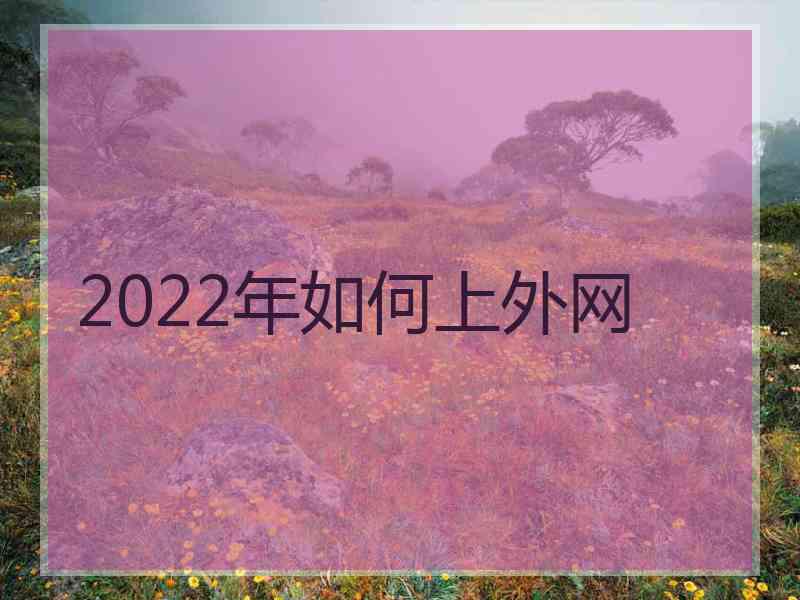 2022年如何上外网