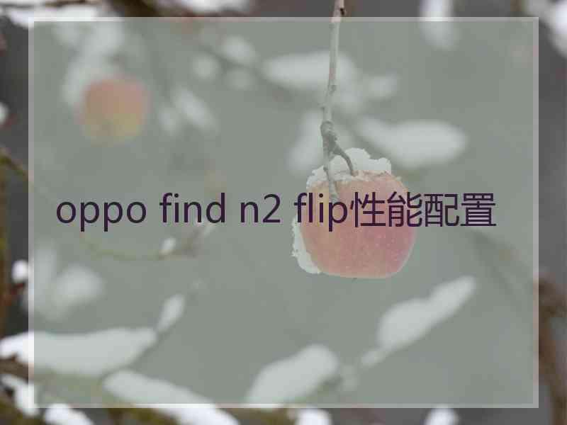 oppo find n2 flip性能配置