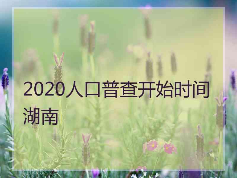 2020人口普查开始时间湖南