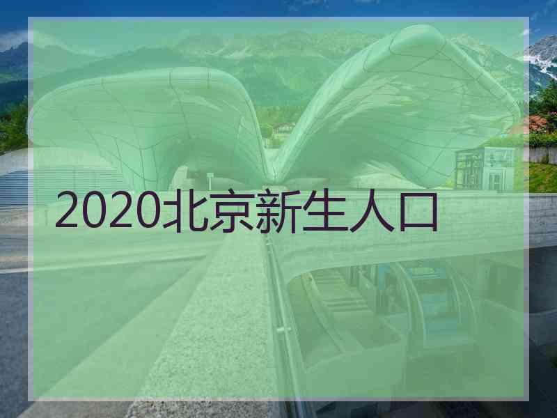 2020北京新生人口