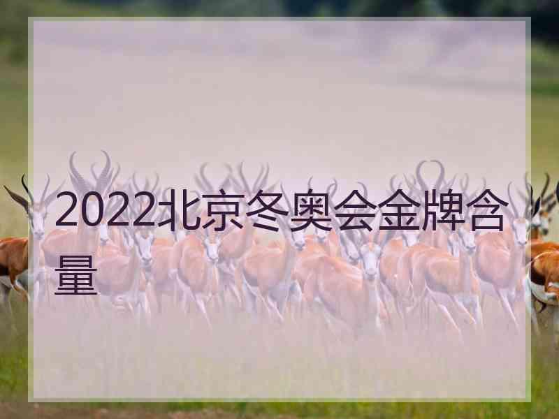 2022北京冬奥会金牌含量