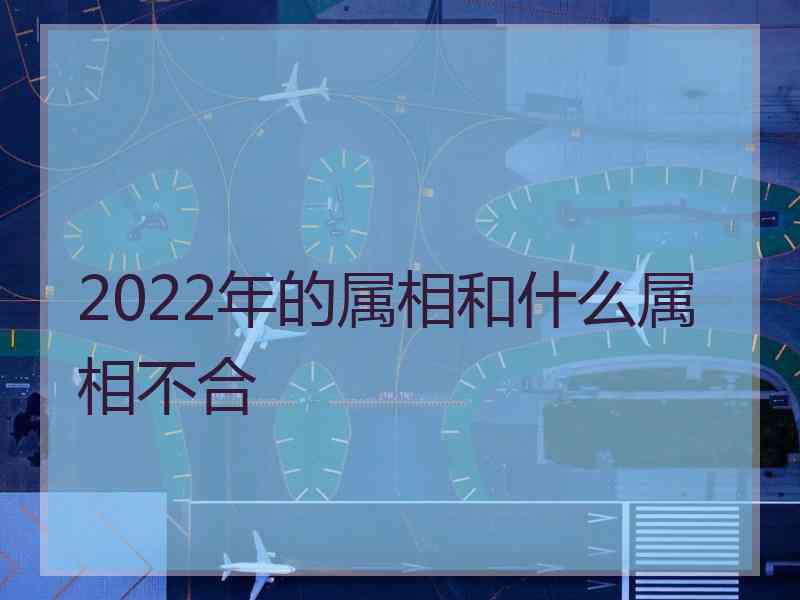 2022年的属相和什么属相不合