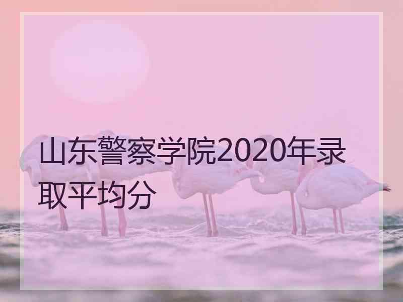 山东警察学院2020年录取平均分