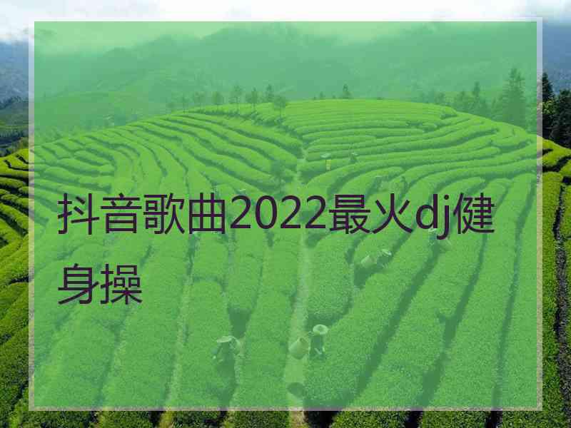 抖音歌曲2022最火dj健身操