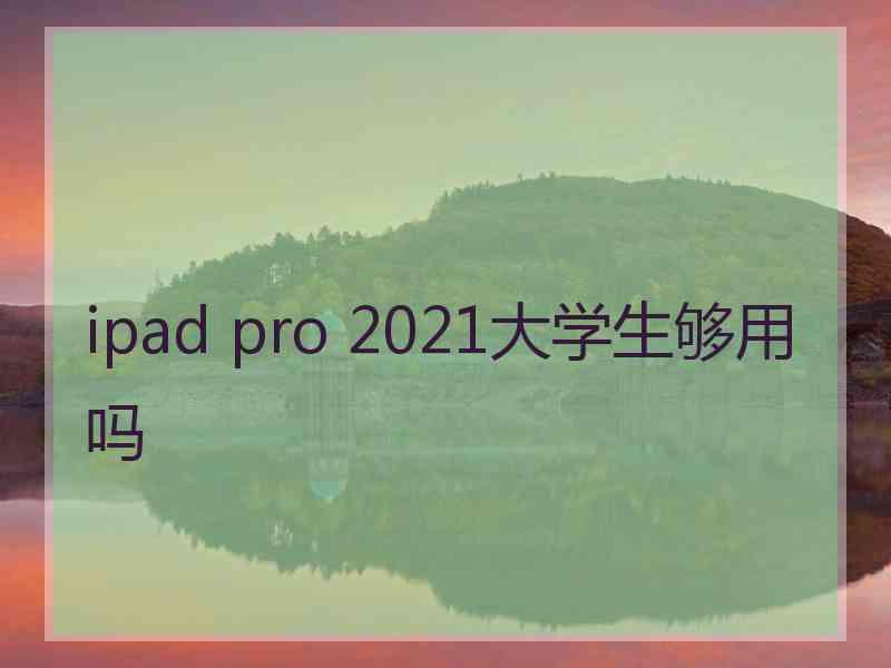 ipad pro 2021大学生够用吗