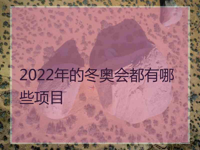 2022年的冬奥会都有哪些项目