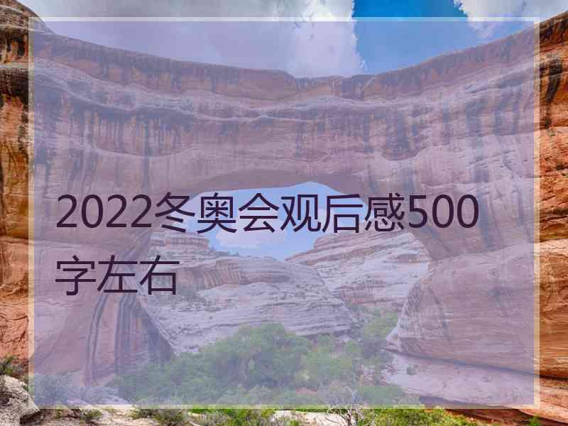 2022冬奥会观后感500字左右