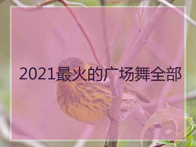 2021最火的广场舞全部