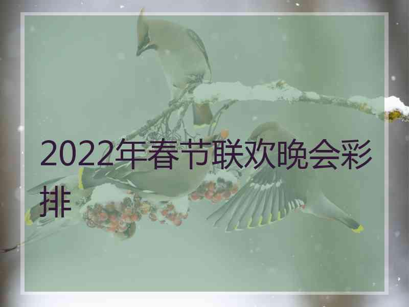 2022年春节联欢晚会彩排