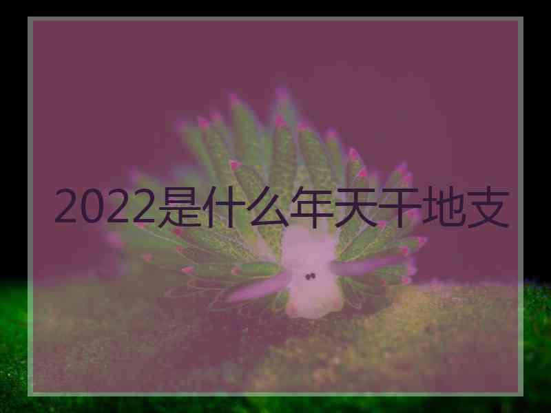 2022是什么年天干地支