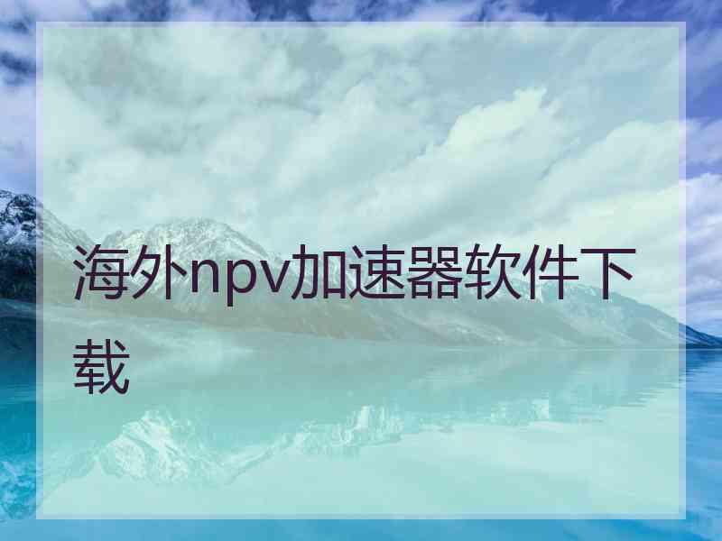 海外npv加速器软件下载