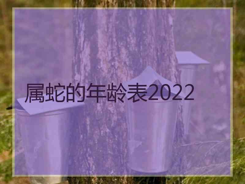 属蛇的年龄表2022