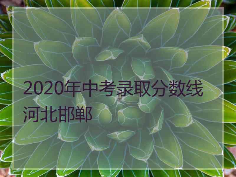 2020年中考录取分数线河北邯郸