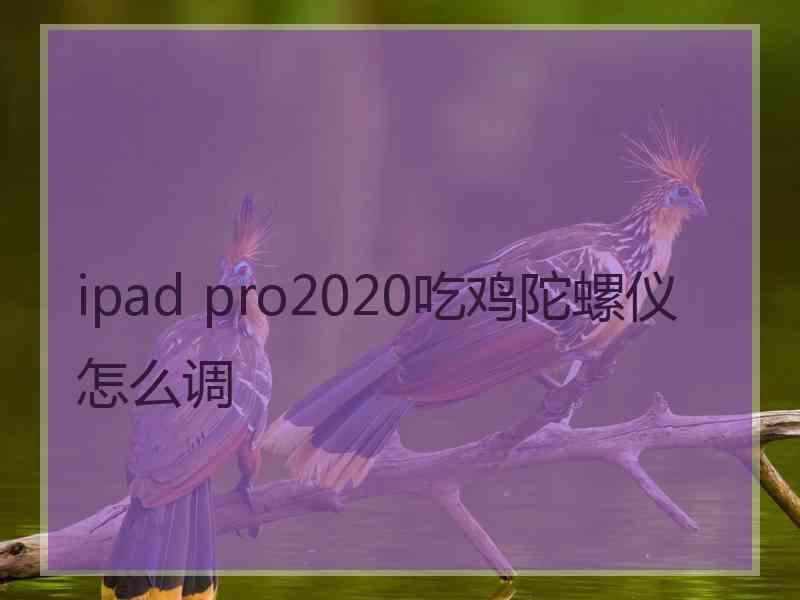 ipad pro2020吃鸡陀螺仪怎么调