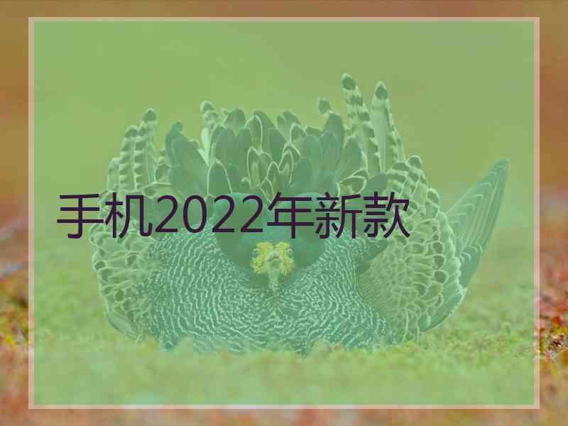 手机2022年新款