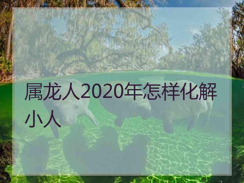 属龙人2020年怎样化解小人