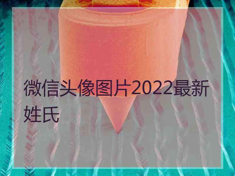 微信头像图片2022最新姓氏