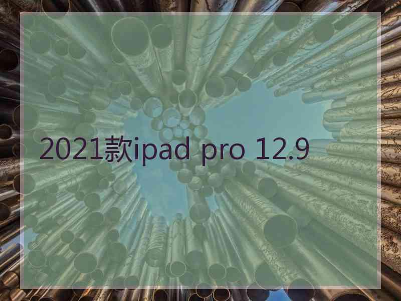 2021款ipad pro 12.9