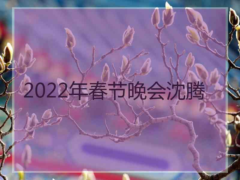 2022年春节晚会沈腾