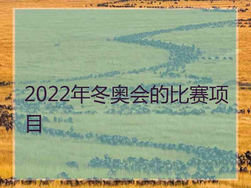 2022年冬奥会的比赛项目