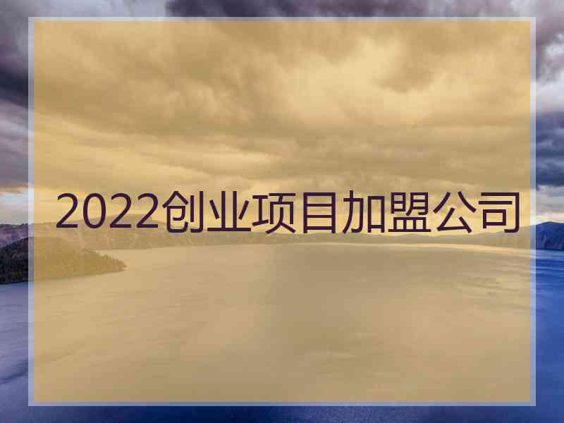 2022创业项目加盟公司