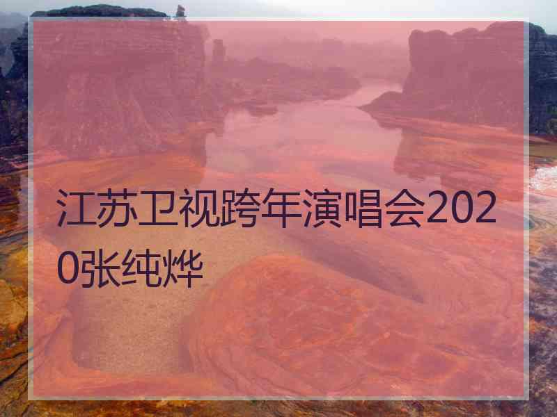 江苏卫视跨年演唱会2020张纯烨