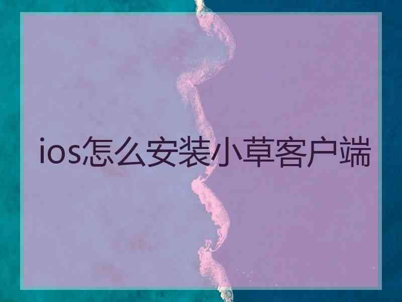 ios怎么安装小草客户端