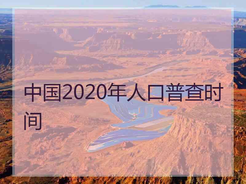 中国2020年人口普查时间