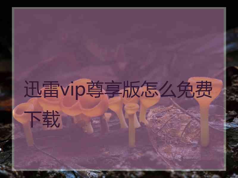 迅雷vip尊享版怎么免费下载