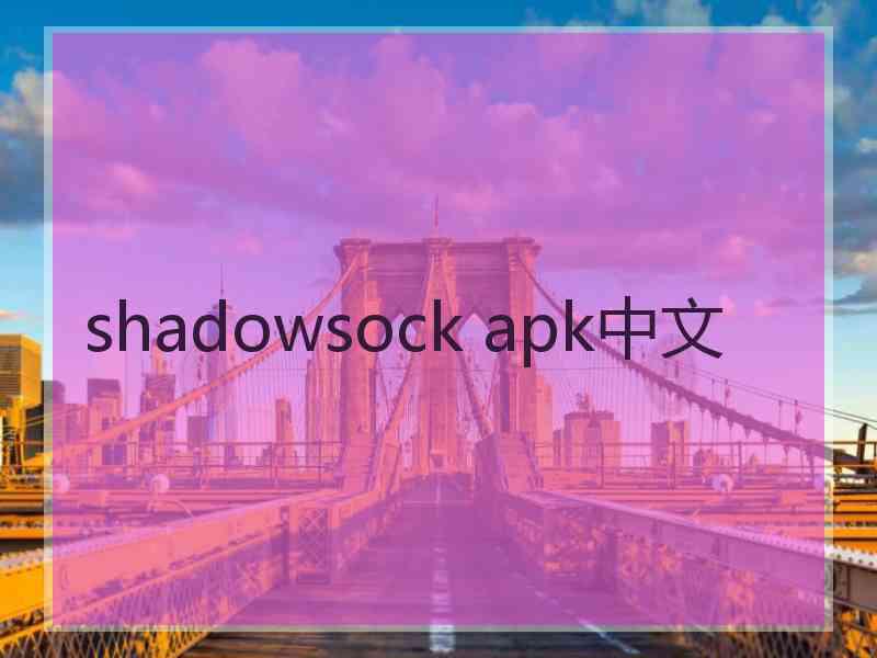 shadowsock apk中文