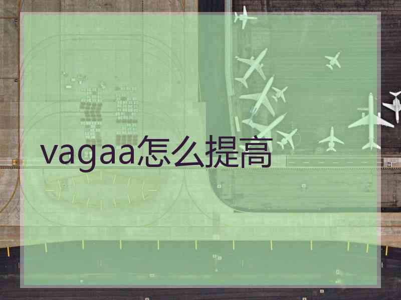 vagaa怎么提高