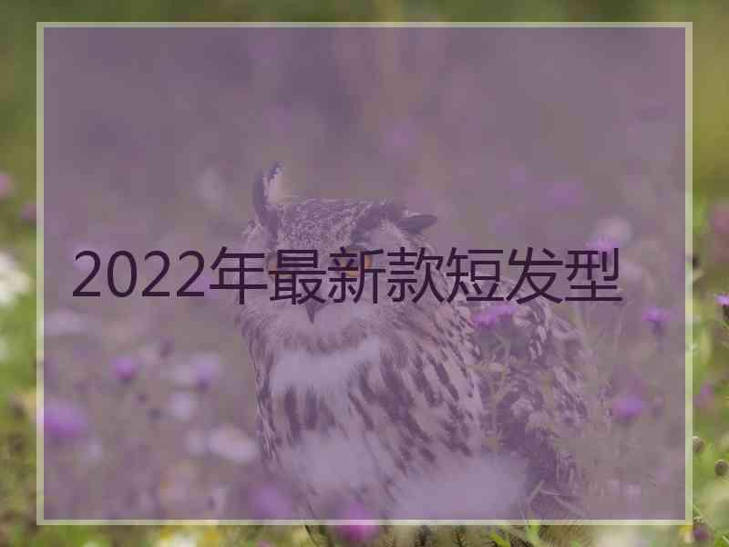 2022年最新款短发型