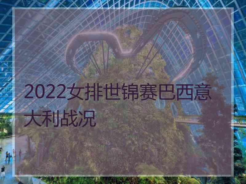 2022女排世锦赛巴西意大利战况